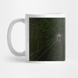 Spider and Its Web - Early Morning Light Mug